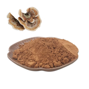 COLA DE PAVO / Trametes versicolor​